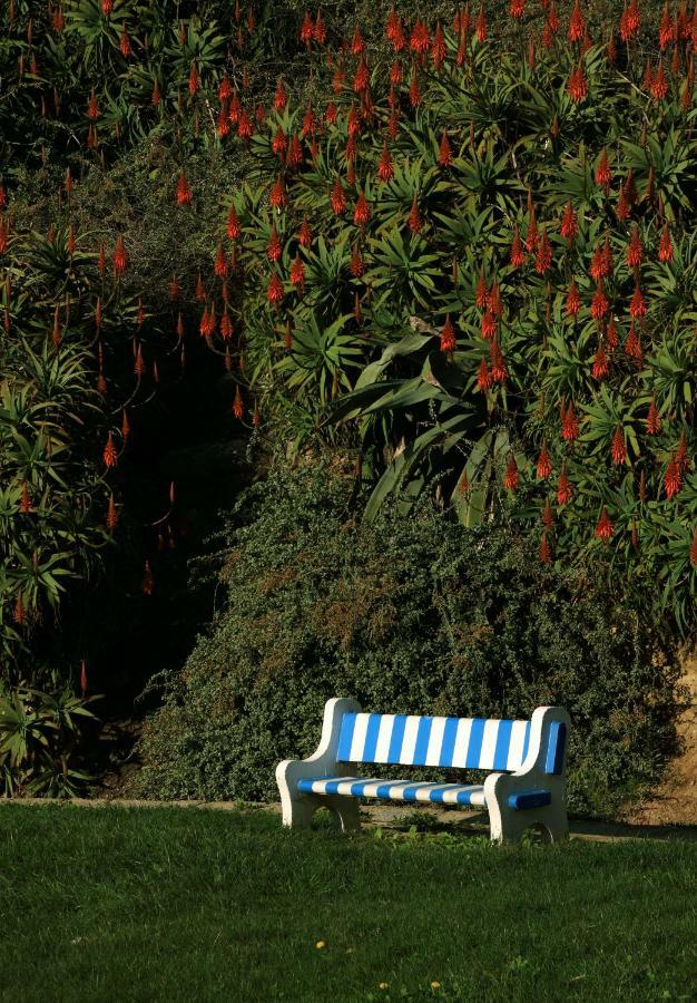 Azenhas Do Mar Cottage Sintra Luaran gambar